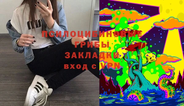 кокаин премиум Богородицк