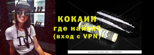 ГАЛЛЮЦИНОГЕННЫЕ ГРИБЫ Богданович