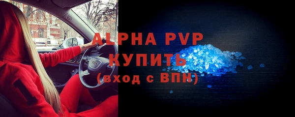 ГАЛЛЮЦИНОГЕННЫЕ ГРИБЫ Богданович