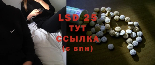 ГАЛЛЮЦИНОГЕННЫЕ ГРИБЫ Богданович