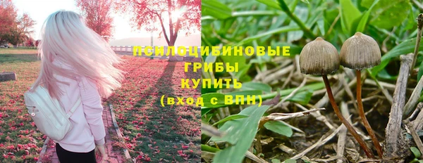 ешки Богородск
