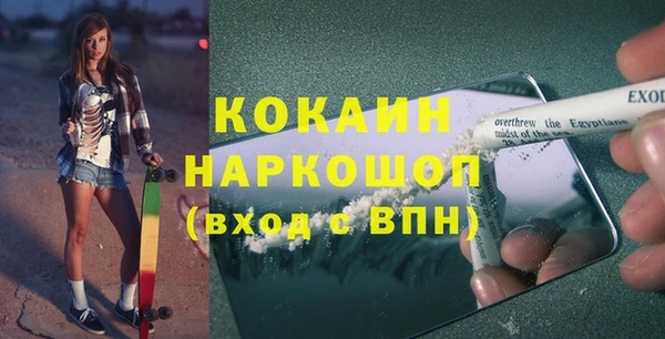 ГАЛЛЮЦИНОГЕННЫЕ ГРИБЫ Богданович